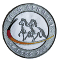 Patch Team Germany